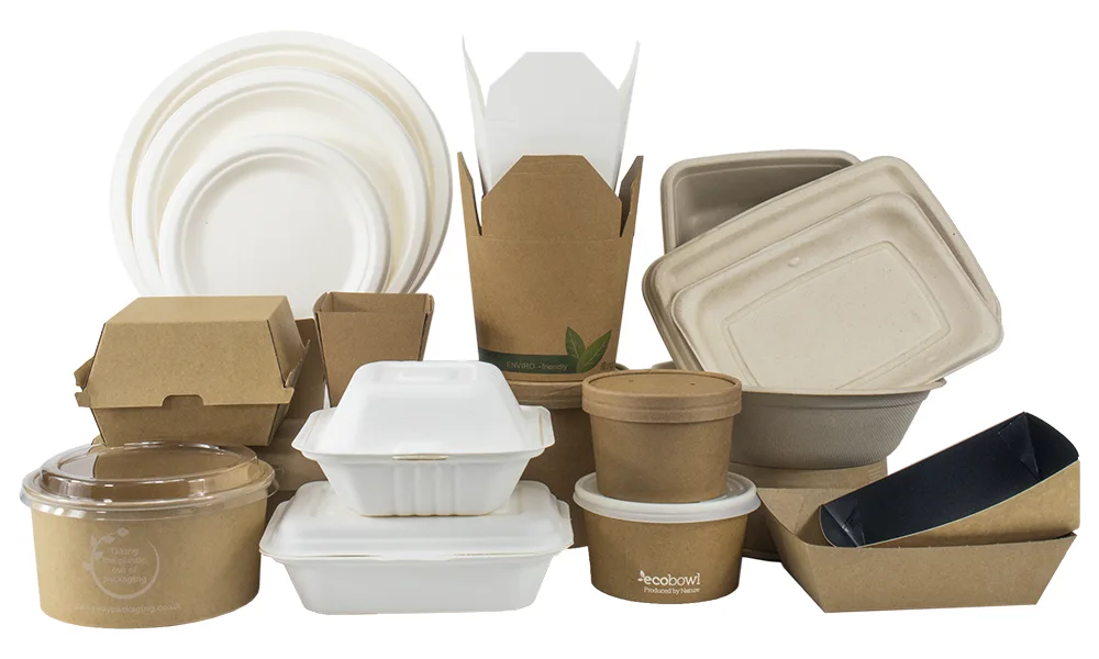 Food Packaging/ Food Containers